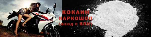 сатива Каменка